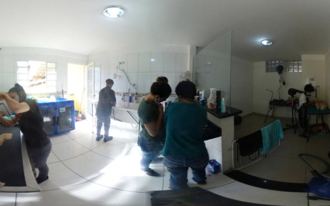 Banho e Tosa