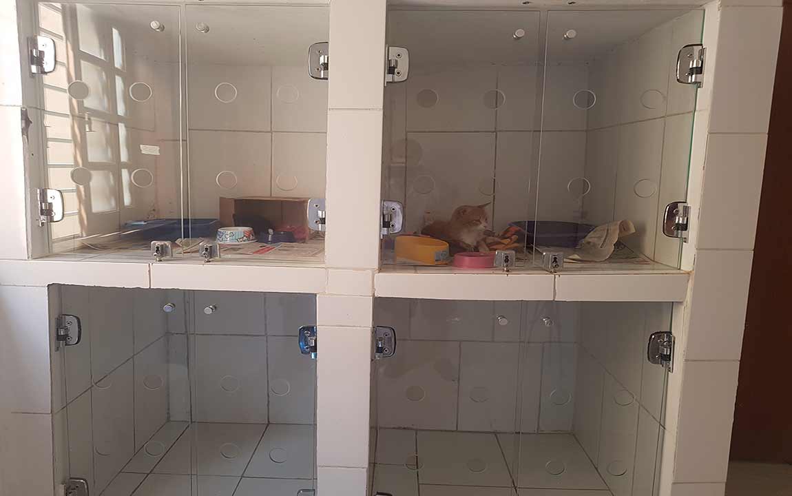 Internações